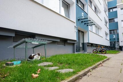 Charmante 3-Zimmer-Wohnung: Gemütliches Zuhause mit viel Raum für Komfort 3 zimmer