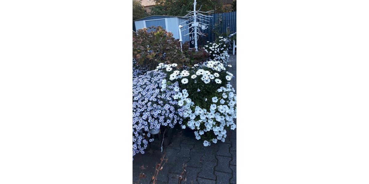Einfamilienhaus Lünen - 5 Zimmer, 81 m&sup2;, 262.000&euro; | Angebot:27428684
