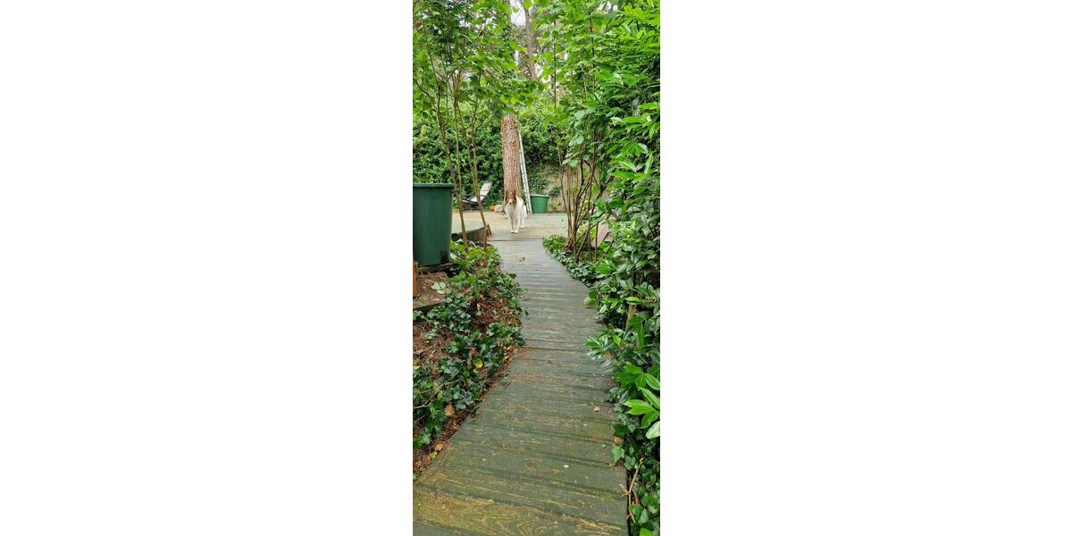 Einfamilienhaus Olfen - 2 Zimmer, 40 m&sup2;, 35.000&euro; | Angebot:26941078