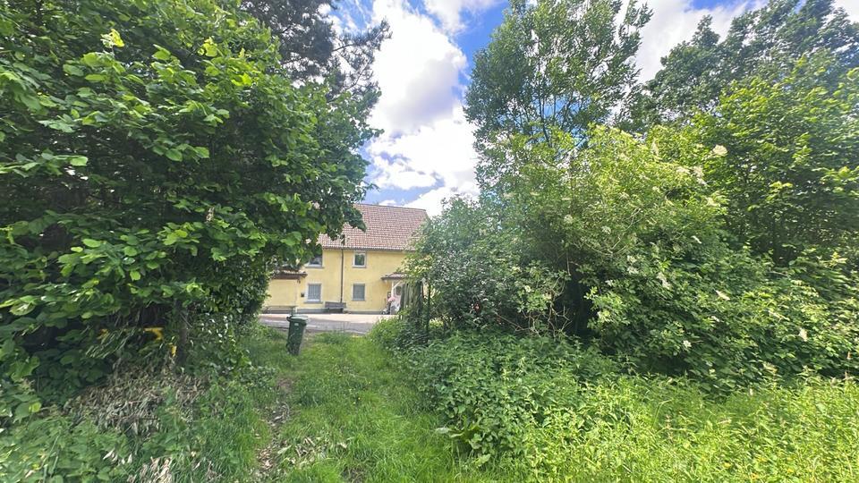 Rarität am Ahlenberg