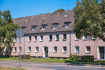 Wohnung Gelsenkirchen Gelsenkirchen-Nord - 2 Zimmer, 45 m&sup2;, 309&euro; | Angebot:26461318