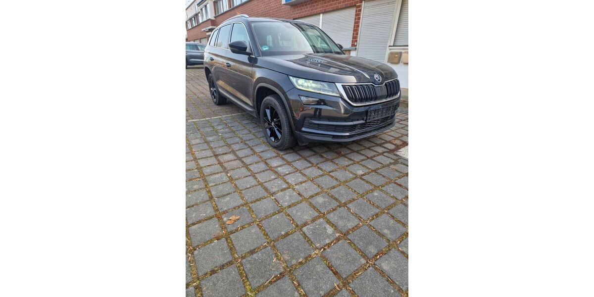 Skoda Kodiaq 354.123 km 12.500 &euro; Dortmund 44001
