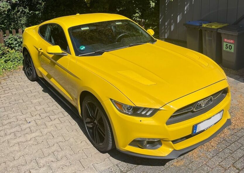 Mustang