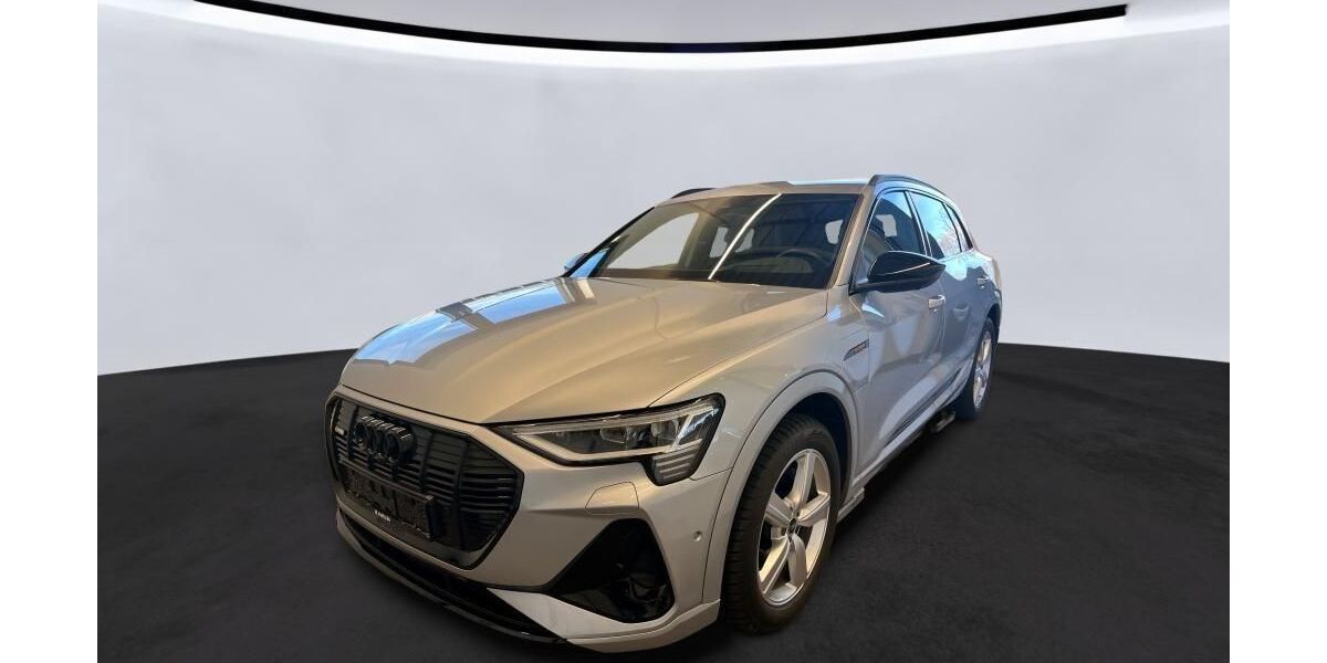 Audi e-tron 80.884 km 34.286 &euro; Hagen 58091