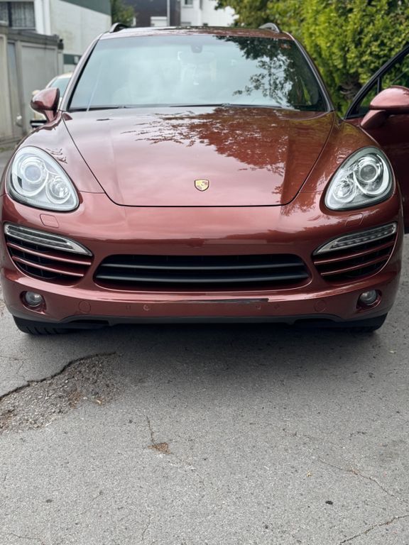 Cayenne