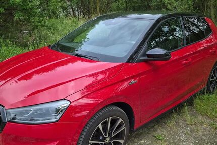Skoda Fabia 38.800 km 17.300 &euro; Dortmund 44135